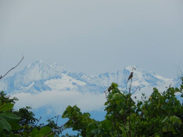 This is an image of the Biosphere Reserve or a Geopark: